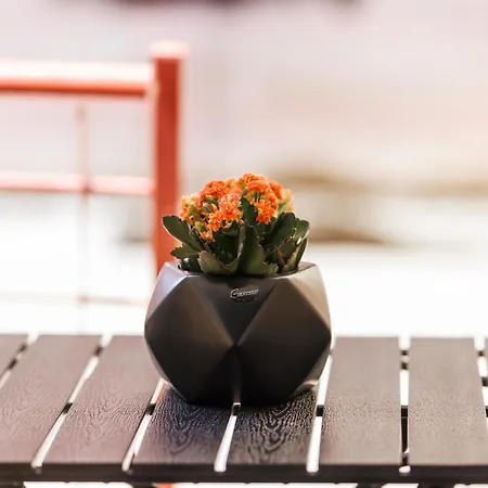 Cozy Anastasia * كوزاني