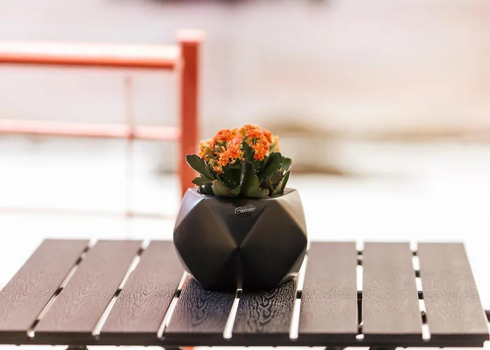 Cozy Anastasia * Kozani